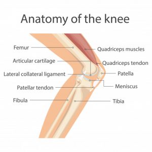 Knee Arthritis : Types, Symptoms and Treatment of Knee arthritis you must know about. – Dr Sumit Badhwar