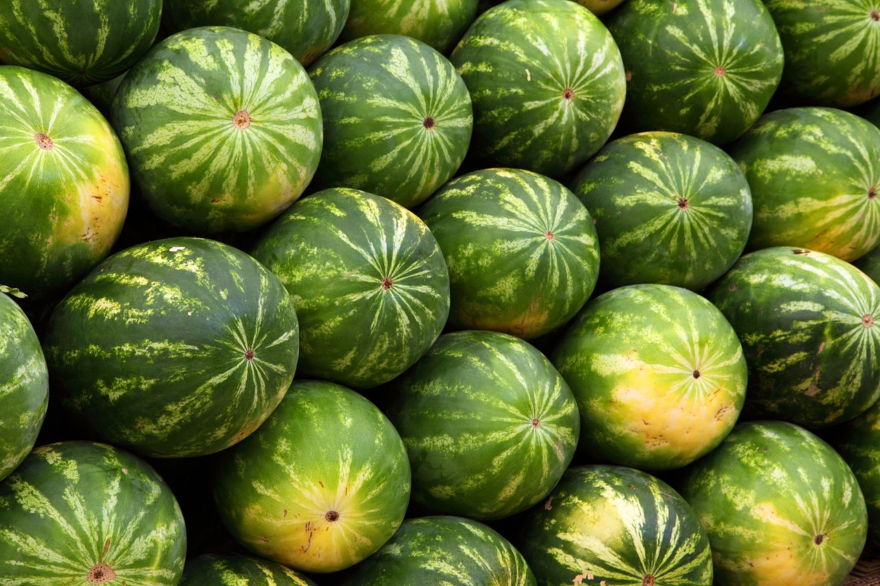 watermelons, fruits, produce, organic, harvest, free wallpaper, wallpaper hd, fresh, windows wallpaper, fresh watermelons, fresh fruits, fruit stand, 4k wallpaper, market, laptop wallpaper, farmer's market, mac wallpaper, desktop backgrounds, beautiful wallpaper, background, food, free background, full hd wallpaper, cool backgrounds, wallpaper 4k, 4k wallpaper 1920x1080, hd wallpaper, melons, ripe watermelons
