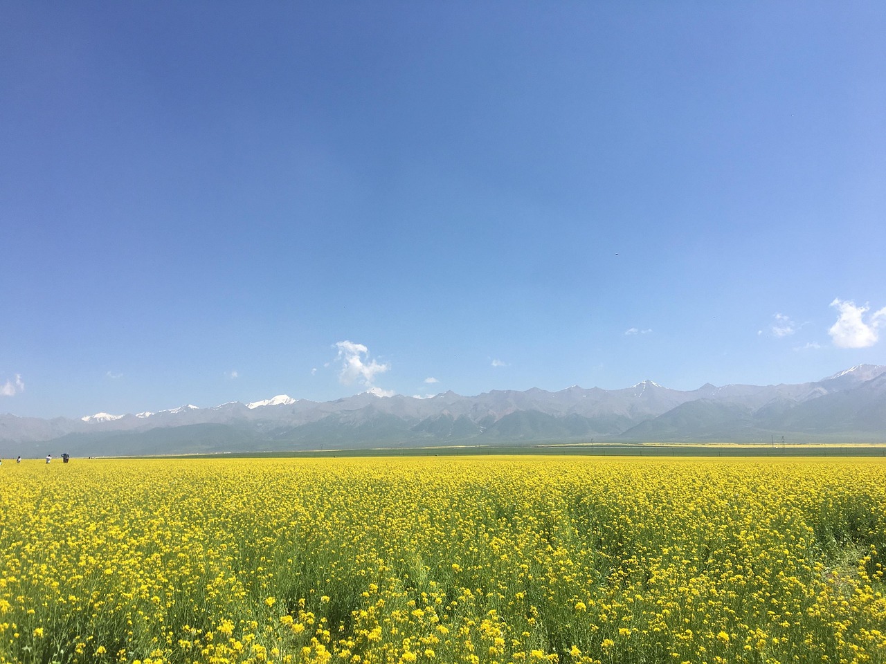 source, xuefeng