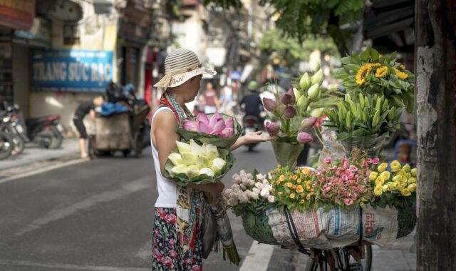 hanoi, street, nature, vietnam, city, supplier, market, old, beautiful flowers, bike, flower wallpaper, life, people, business, asia, flower, women, traditional, cultural, colorful, tropical, travel, flower background, out side, urban, florist, local, architecture