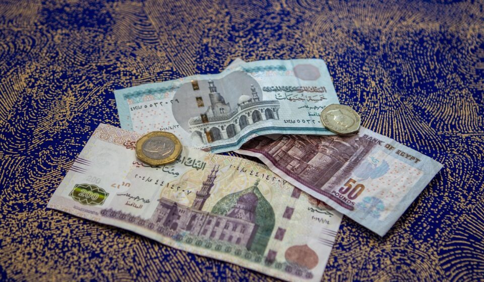money, egyptian, pound, note, fifty, 50, coin, arabic, bright, currency, foreign, notes