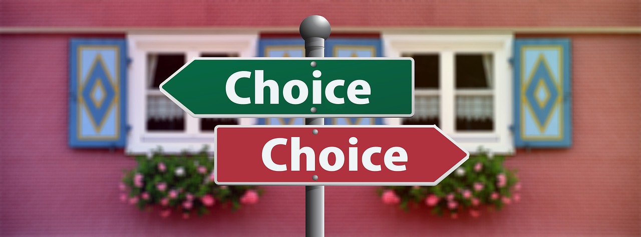 choice, select, decide, decision, vote, politics, board, writing, school, chalk, one way street, opportunity, chance, point of view, alternative, traffic signs, sign, a notice, street sign, direction, path, signpost, choice, choice, choice, choice, choice, decision, decision, decision, vote, politics